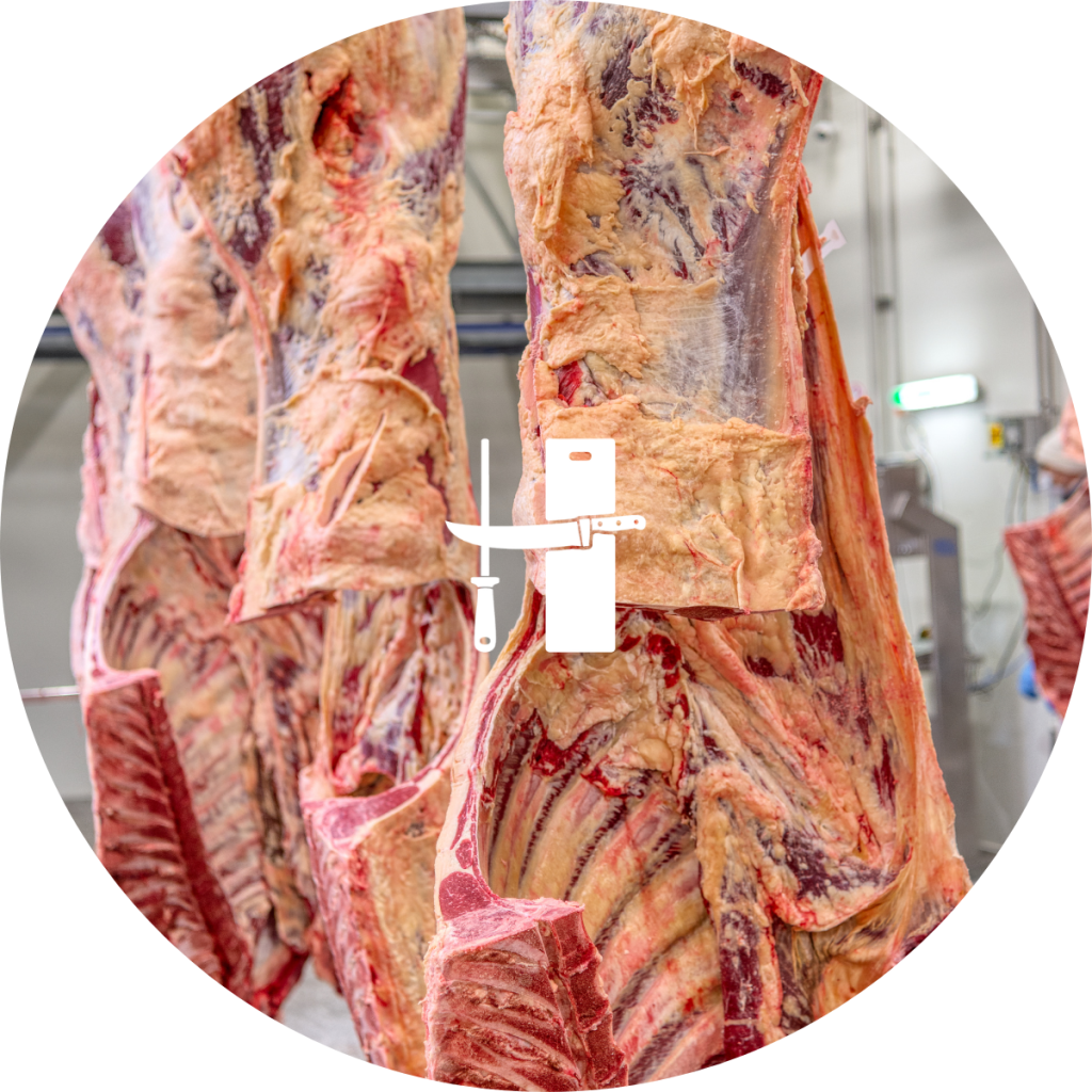Beef Whole Carcass