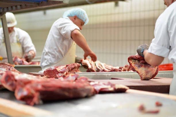Specialized Processing & Logistics