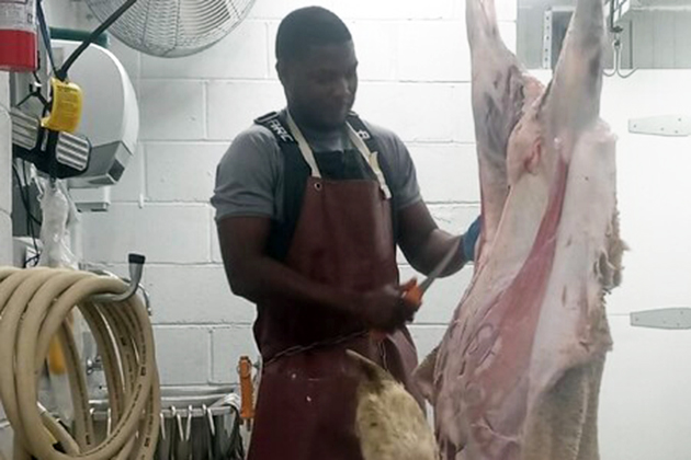 Halal Meat Butchering